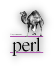 Perl CGI 