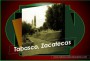 Tabasco Zacatecas