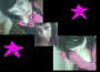 iop bonix si k sii