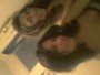 amiguis