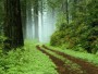 Me gustaria caminar de la mano con mi amor en un paisaje como este!