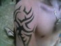 Mi Tattoo