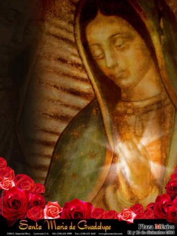 Hola solo quiero desearles a todos los Guadalupe`s que se la pasen bien y a mi mamÃ¡ que no me desampare, ella nos cuida a todos aunque no se lo pidas. Firmenle chido bye