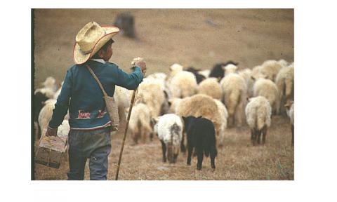 Zacatecas un lugar de cantera y plata