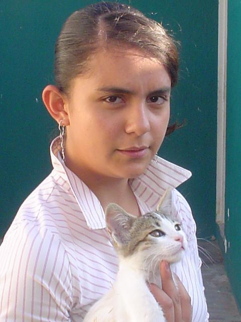 arriba el emo punk