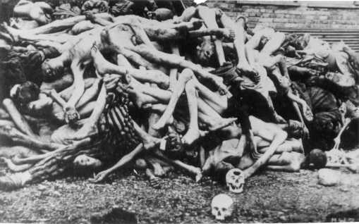 esto es una barbarie por favor ke jamas se vuelva a repetir es un omenaje a las miles de personas ke murieron en el holocausto  espero y esto les haga reflexionar un poco no mas nazis. mi correo es roedor24@hotmail.com escribanme o agregenme